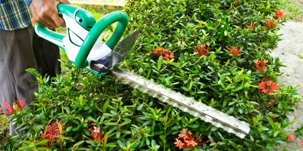 Assicurazione Giardiniere: Polizza RC Professionale [Guida 2021]