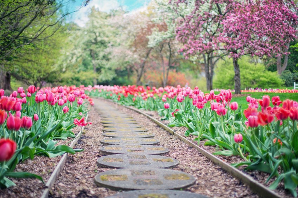 assicurazione giardiniere