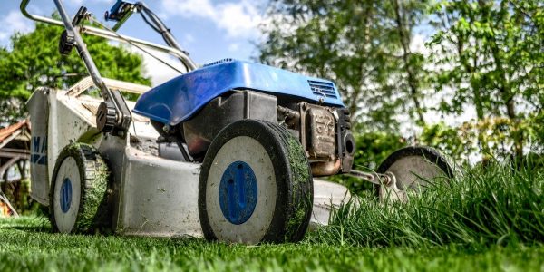 Rischi Giardinaggio: Biologico, Chimico e Infortuni del Giardiniere [GUIDA]