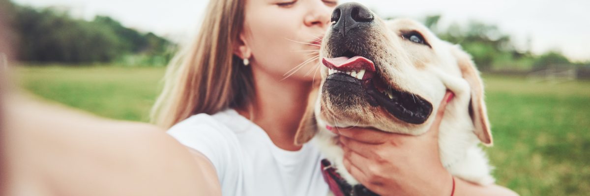 Assicurazione RC Cane: cos’è, cosa copre e perché conviene