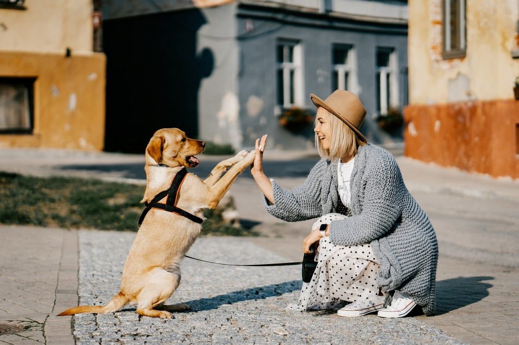 migliore assicurazione cani